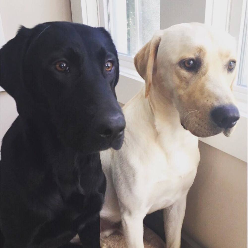 Meet your Posher, Keaton